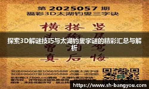 探索3D解谜技巧与太湖钓叟字谜的精彩汇总与解析